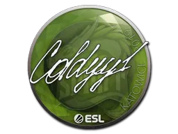 COLDYY1