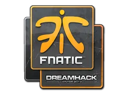 Fnatic | DreamHack 2014