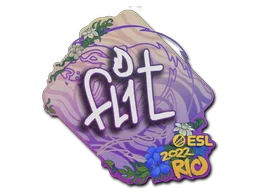 FL1T