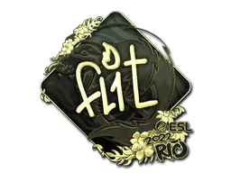 FL1T (Altın)