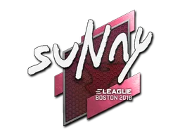 suNny | Boston 2018