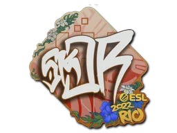 sk0R | Rio 2022