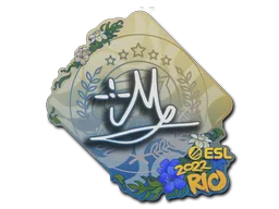 iM