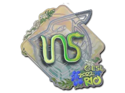 INS (Olografico)