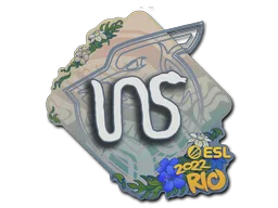 INS
