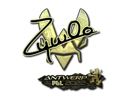 ZywOo (Dourado)