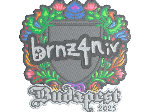 brnz4n（刺绣）| 2025年布达佩斯锦标赛