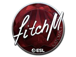 fitch（闪亮）| 2019年卡托维兹锦标赛