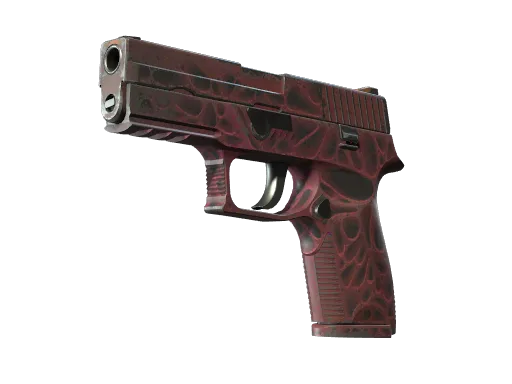 P250 | Contaminant
