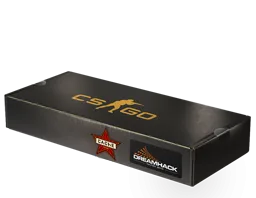 DreamHack 2014 Cache Souvenir Package