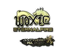woxic(金色)| 2022年安特卫普锦标赛