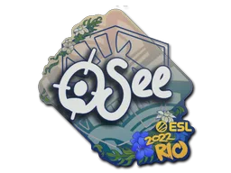 oSee