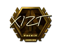Xizt(금박)