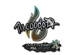 nicoodoz | Antwerp 2022