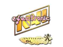 electronic (holografická)