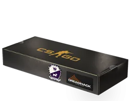 Paquet souvenir Cobblestone de la DreamHack 2014