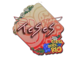 TeSeS