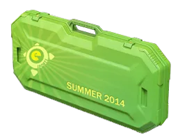 Cassa estiva degli eSport del 2014