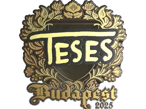 TeSeS（金色）| 2025年布达佩斯锦标赛