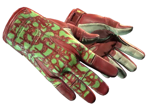 Sport Gloves