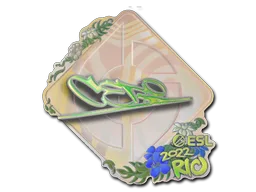 CeRq (holograficzna)