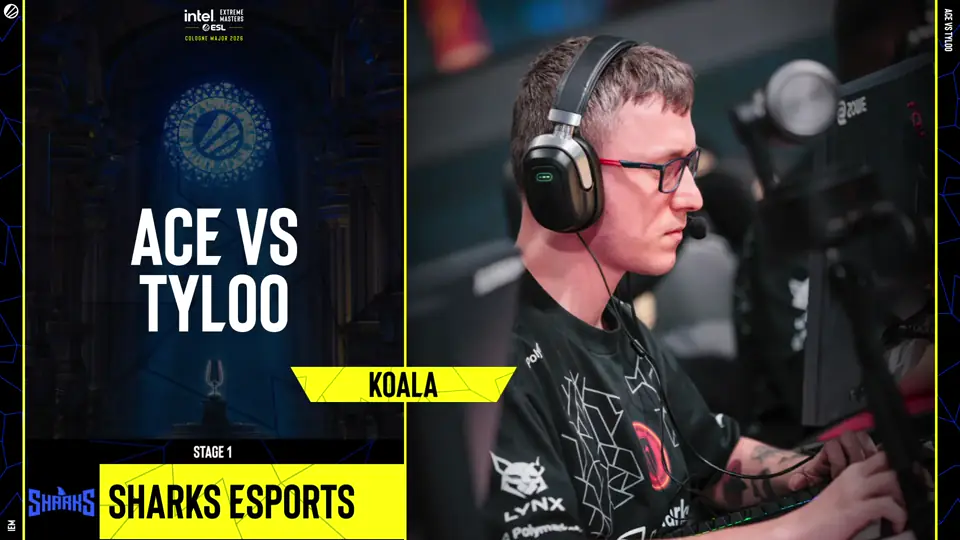 koala ACE