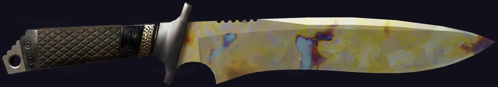 ★ Classic Knife | Case Hardened
